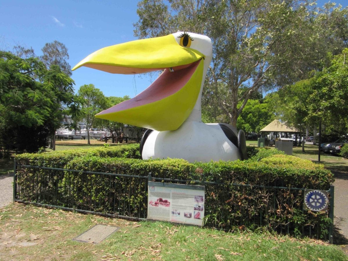 Pelican2
